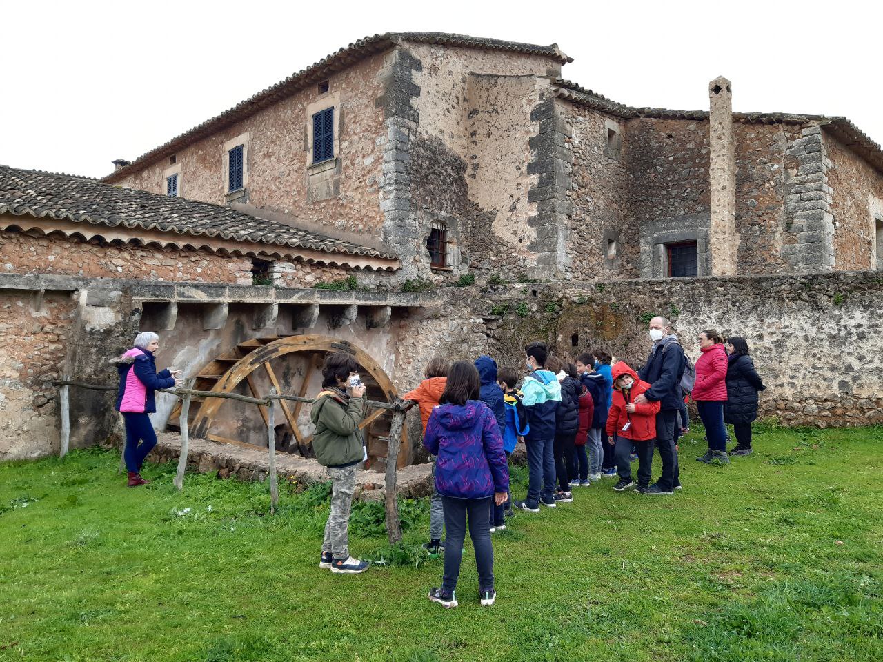 Visita escolar a la almazara de Son Torrella